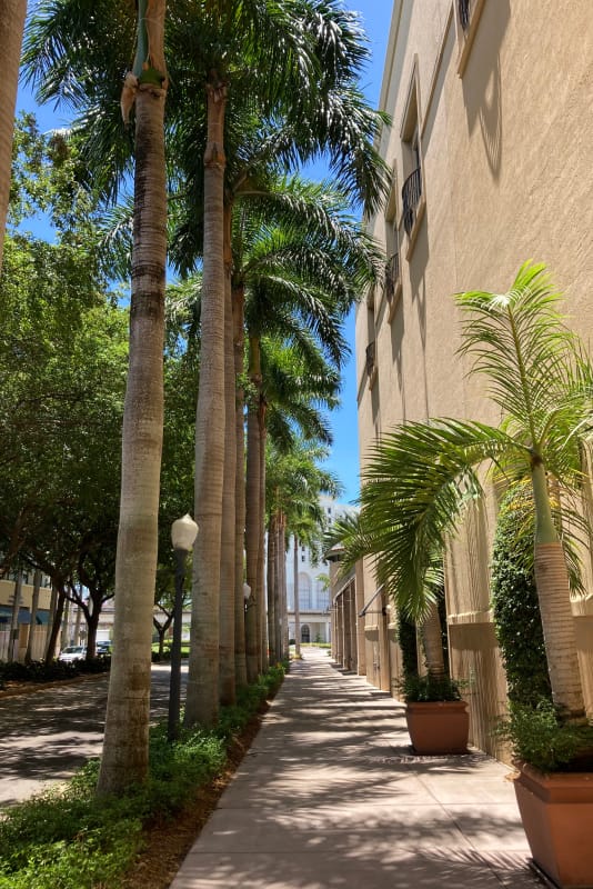 sidewalks